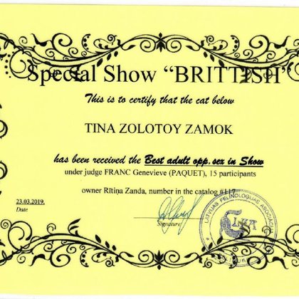 International Cat Show "PetExpo 2019"