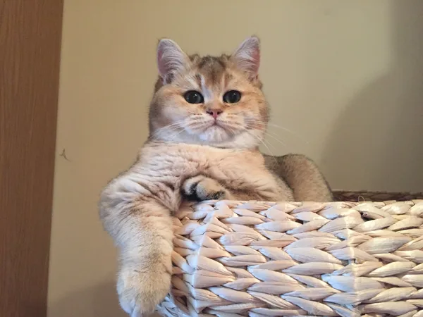 4 months
