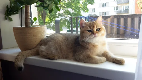 6 months