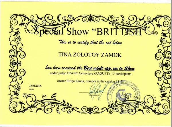 International Cat Show "PetExpo 2019"